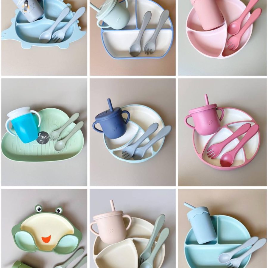 alimentación complementaria